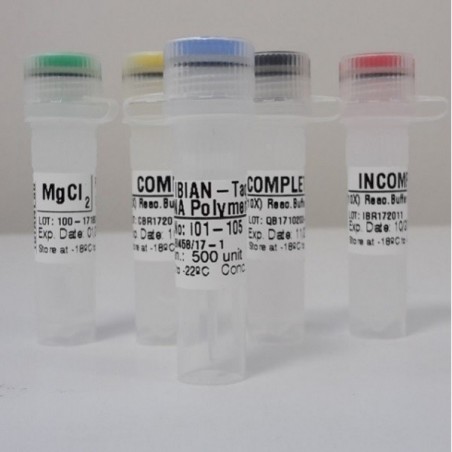 Taq polymerase 500 U