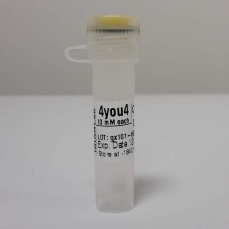 I02-M02 IBIAN 4YOU4 DNTP MIX, 10 mM EACH (1000 µl)