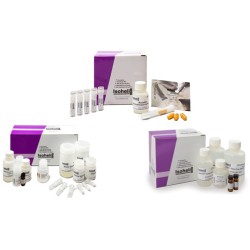 DNA Saliva Direct to PCR kit for 50 x