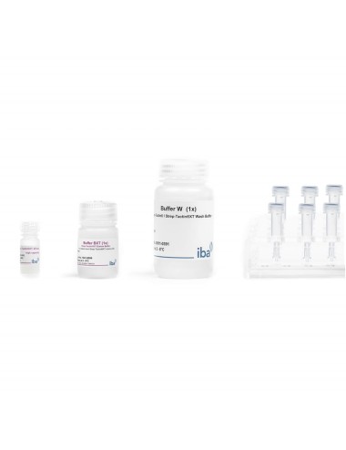 Strep-TactinXT 4Flow high capacity Spin Column Kit (1 kit)