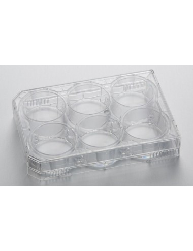 6-Well CytoOne® Plate, TC-Treated