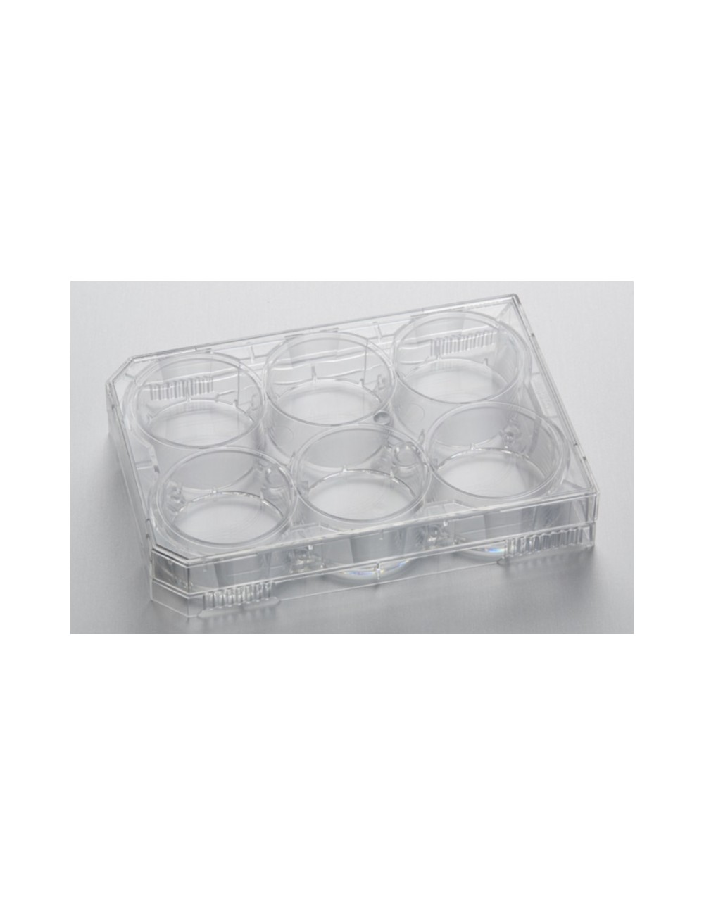 6-Well CytoOne® Plate, TC-Treated