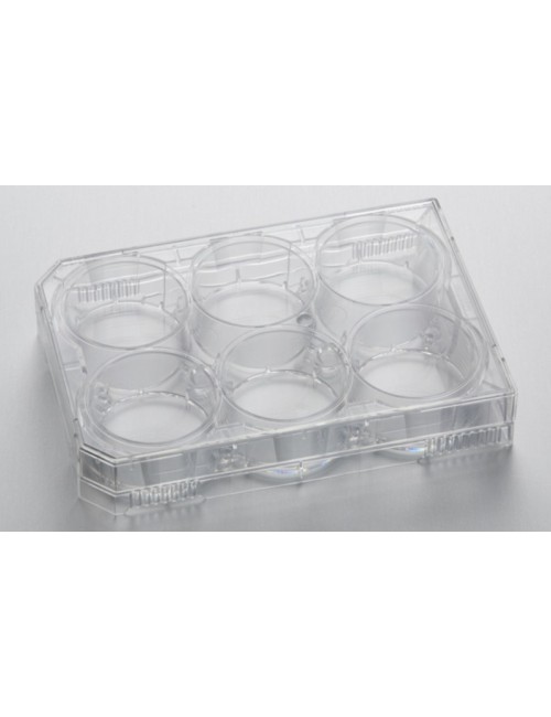 6-Well CytoOne® Plate, TC-Treated