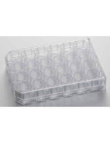24-Well CytoOne Plate, TC-Treated