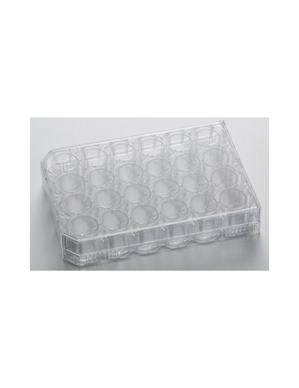 24-Well CytoOne Plate, TC-Treated