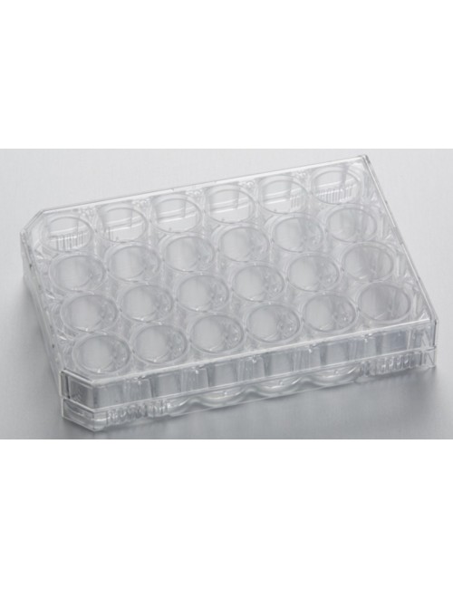 24-Well CytoOne Plate, TC-Treated