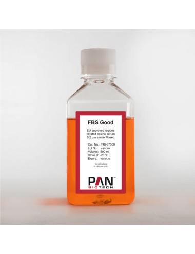 P40-37500-FBS Good, EU approved regions, filtrated bovine serum 500 ml 0.2 µm sterile filtered