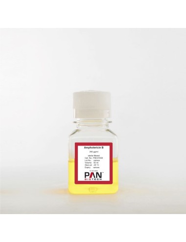 P06-01050 Amphotericin B. 250 µg/ml