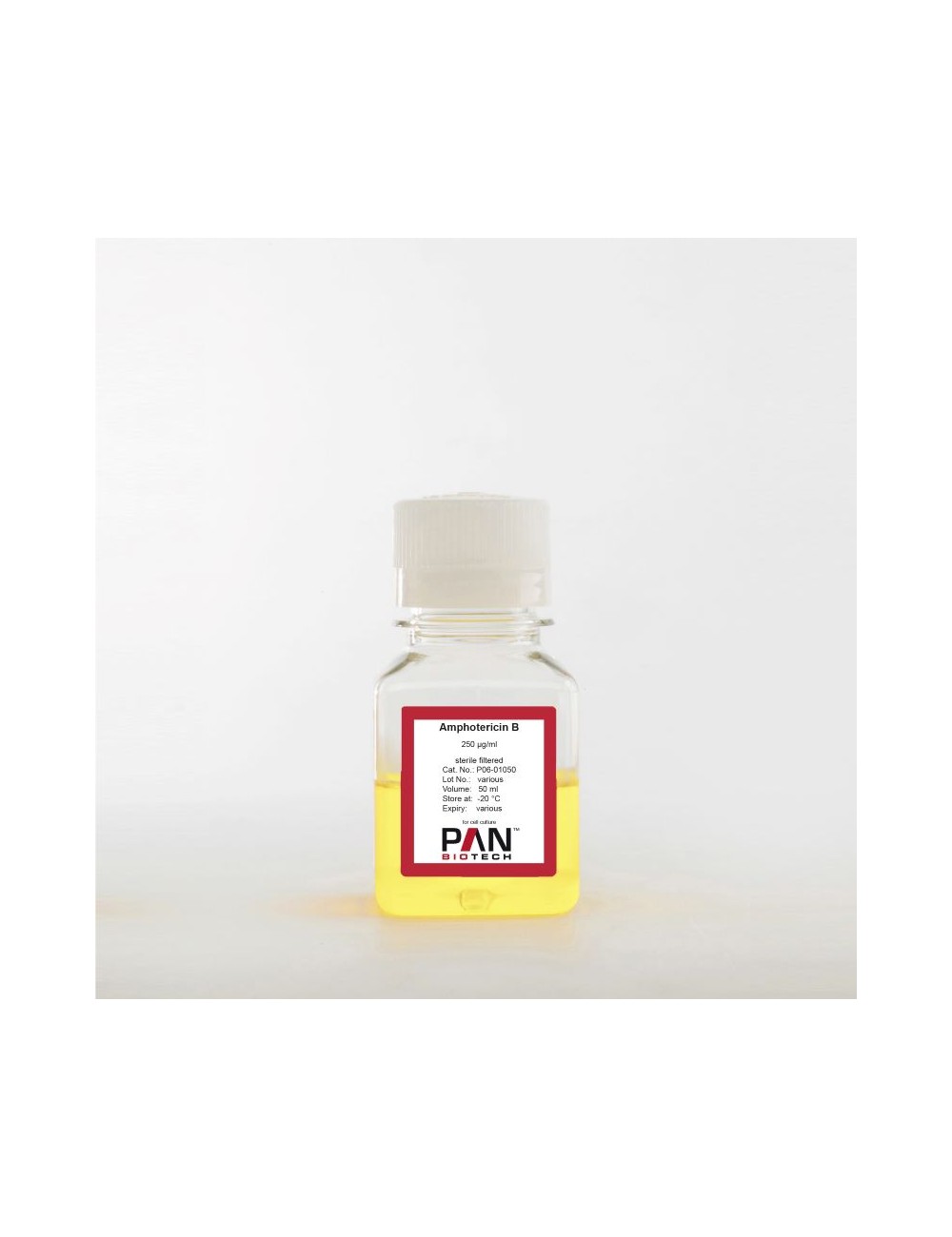 P06-01050 Amphotericin B. 250 µg/ml