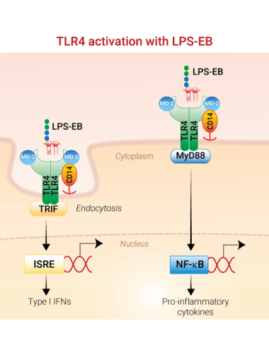 tlrl-3pelps