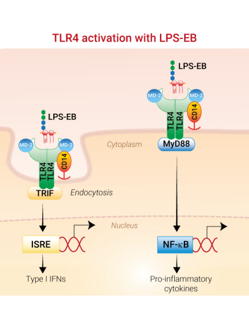 tlrl-3pelps