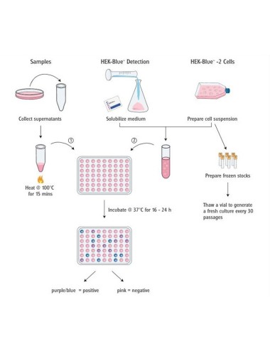PlasmoTest de 250 determinaciones