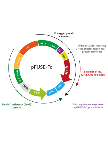 Vectores pFUSE