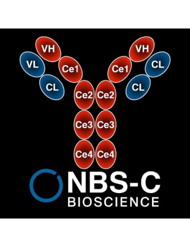 Human IgE (SUS-11) protein...