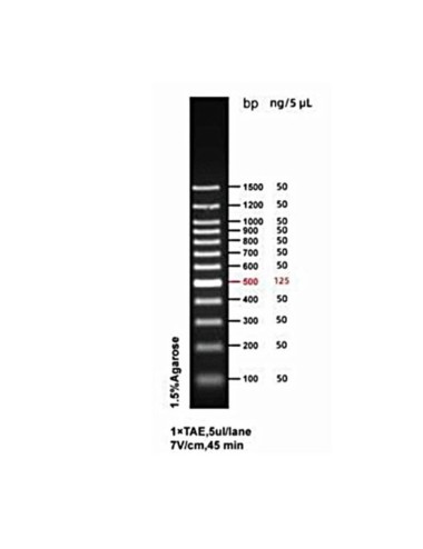 REF. I03-L05 IBIAN 100 bp DNA Ladder no stain 500 µl