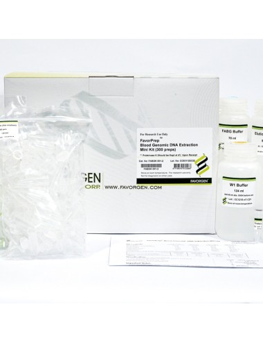 Blood Genomic DNA Extraction Mini Kit (100prep)