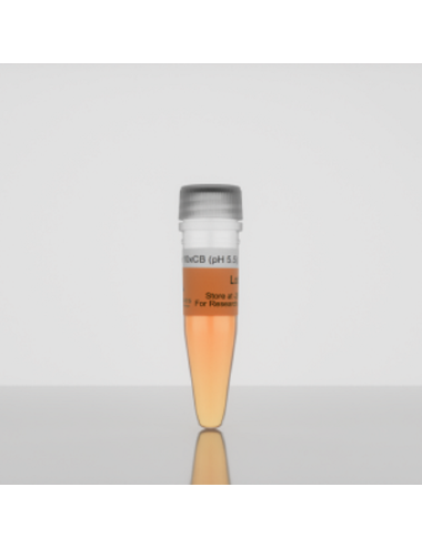 3-D Life 10x CB-Buffer (pH 5.5) (B10-3)