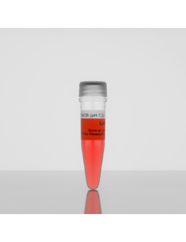 3-D Life 10x CB Buffer (pH 7.2) (B20-3)