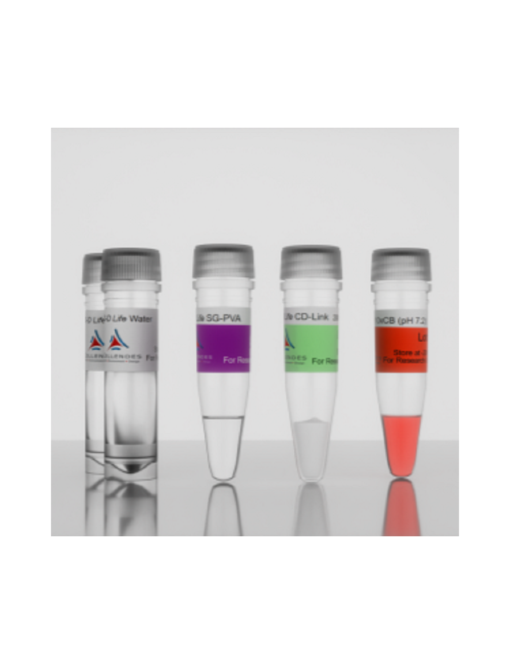 3-D Life PVA-CD Hydrogel SG (G83-1)