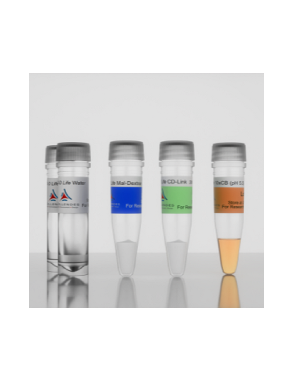 3-D Life Dextran-CD Hydrogel FG (FG91-1)