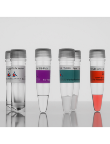 3-D Life PVA-HA Hydrogel (G85-1)