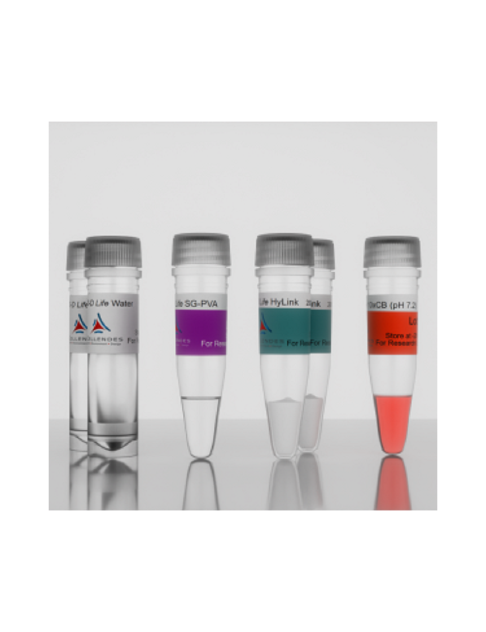 3-D Life PVA-HA Hydrogel (G85-1)