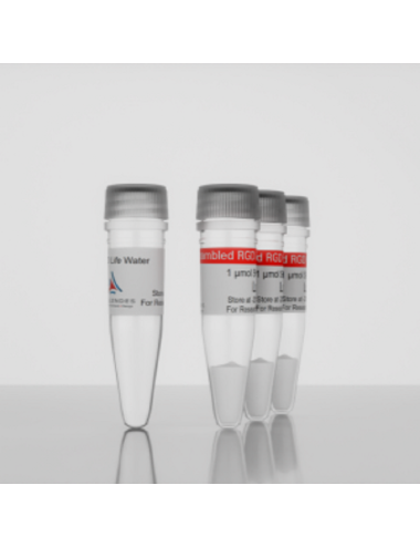 3-D Life Scrambled RGD Peptide (3x 1 µmol) (P11-3)