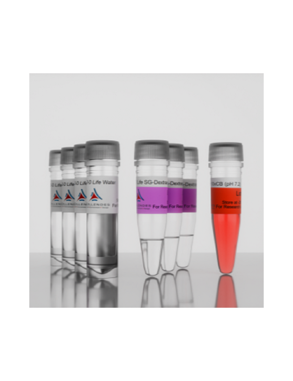 3-D Life SG-Dextran (M91-3)