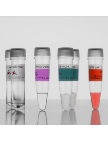 3-D Life Dextran-HA Hydrogel (G95-1)