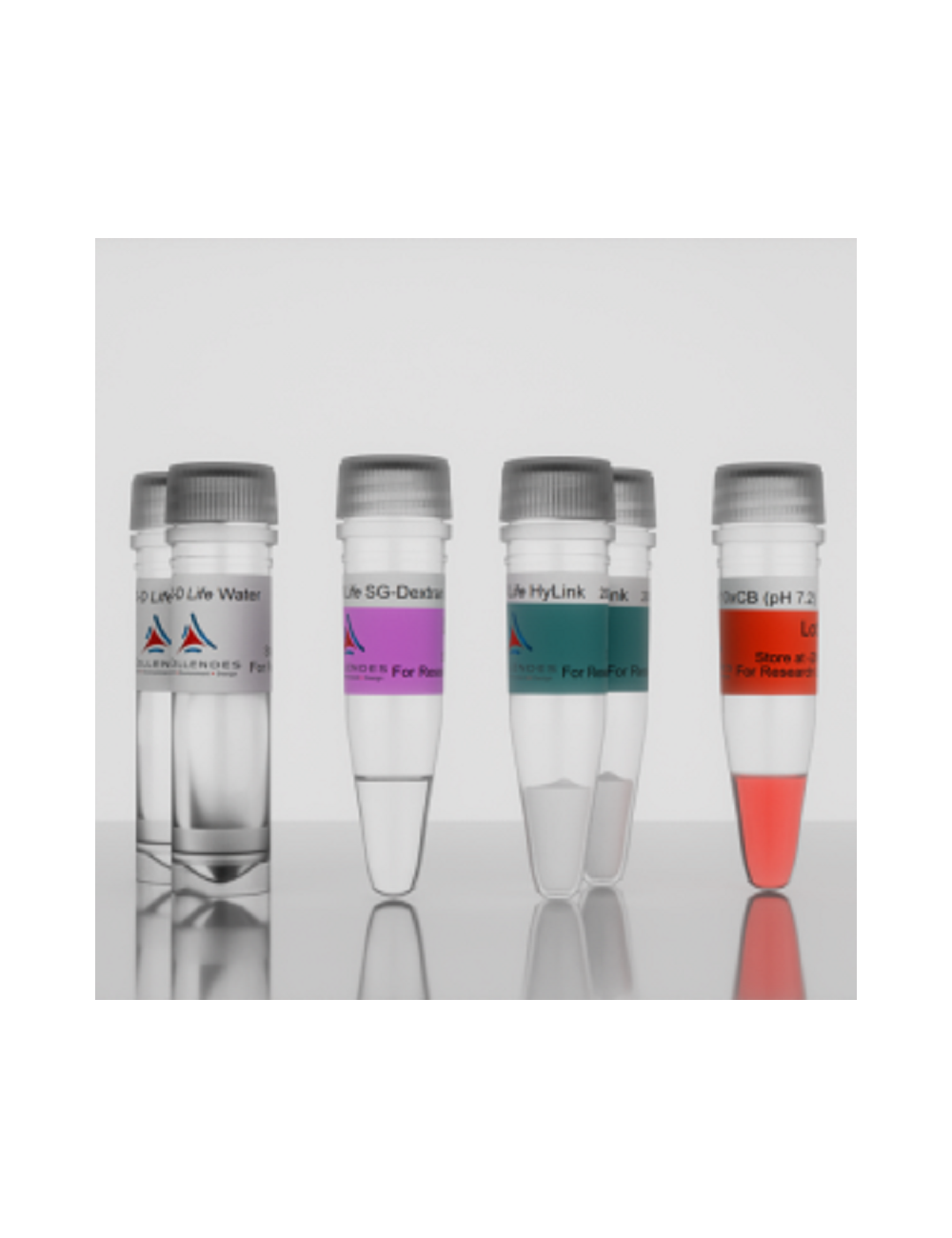 3-D Life Dextran-HA Hydrogel (G95-1)