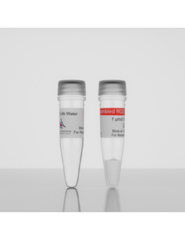 3-D Life Scrambled RGD Peptide (1 µmol) (09-P-003)
