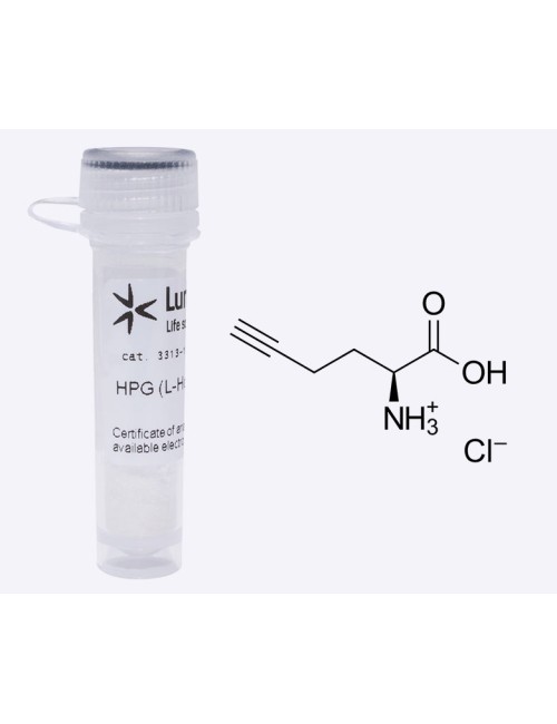 HPG (L-Homopropargylglycine), 100 mg