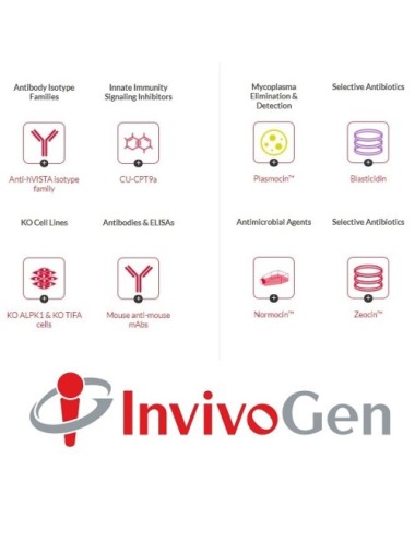 Recombinant human IL-17A (5...