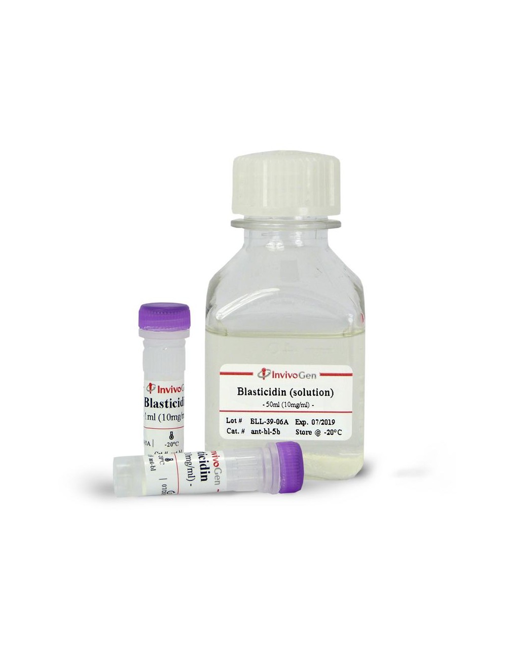 Blasticidin (10 mg/ml solution) (200 mg (20 x 1ml))