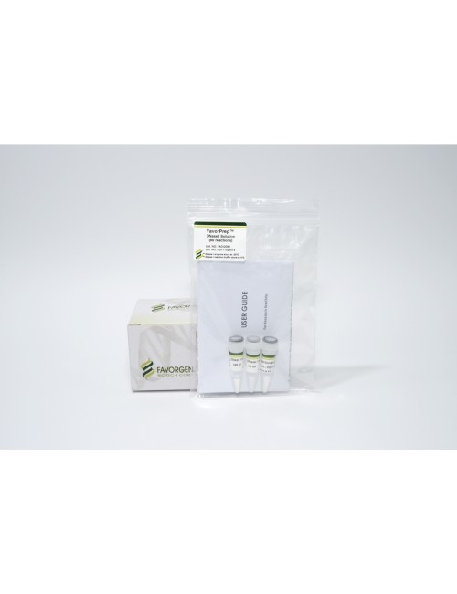FavorPrep™ DNase I Solution (2,500 U/ml)
