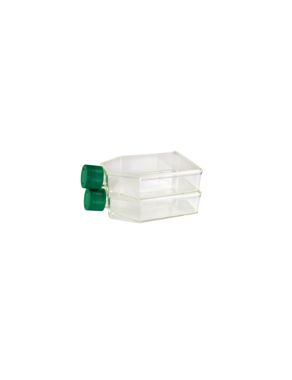 CYTOONE T-75 TC FLSK STD CAP