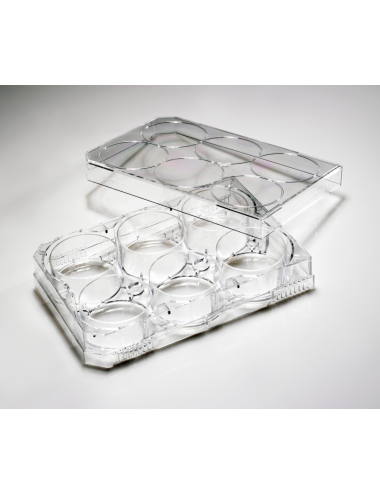 6-Well CytoOne® Plate, TC-Treated