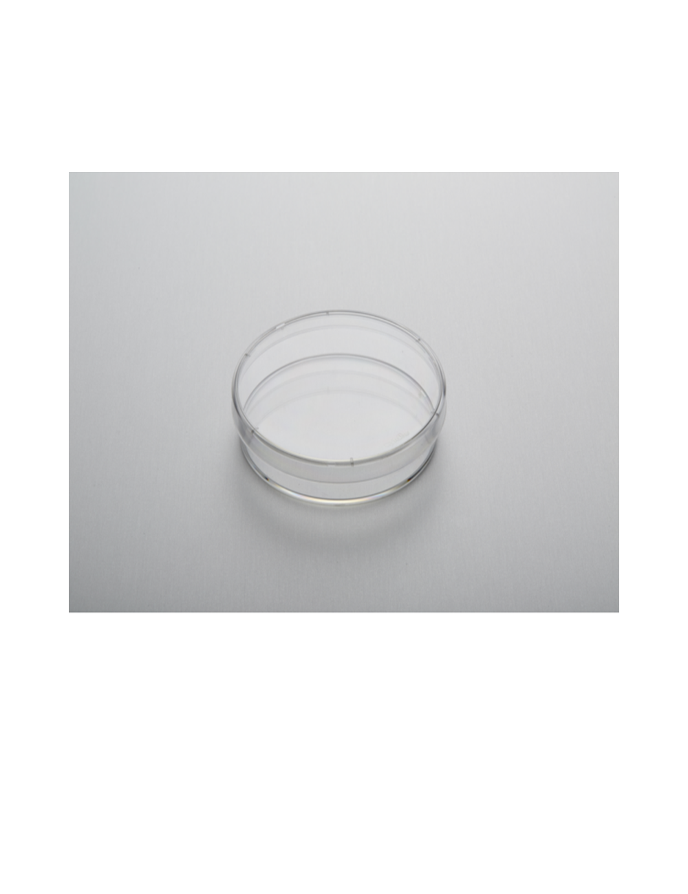 Placa de cultivo CytoOne® 100 x 20 mm, sin tratamiento.
