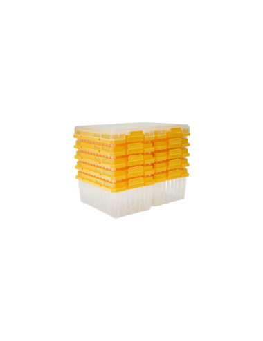 200 ul TipOne® Tip,...