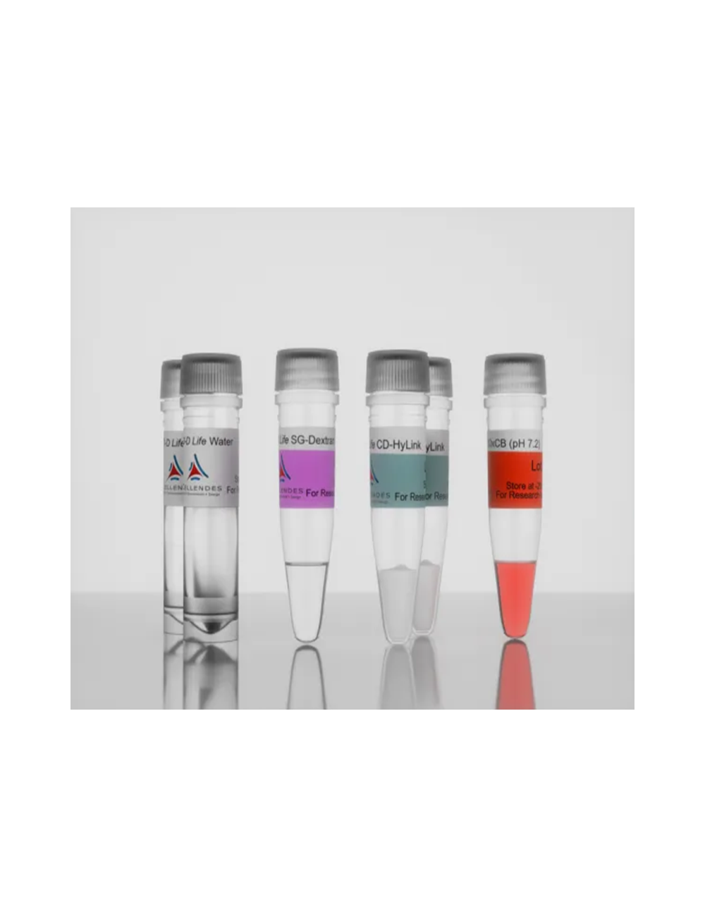3-D Life Dextran-CD-HA Hydrogel