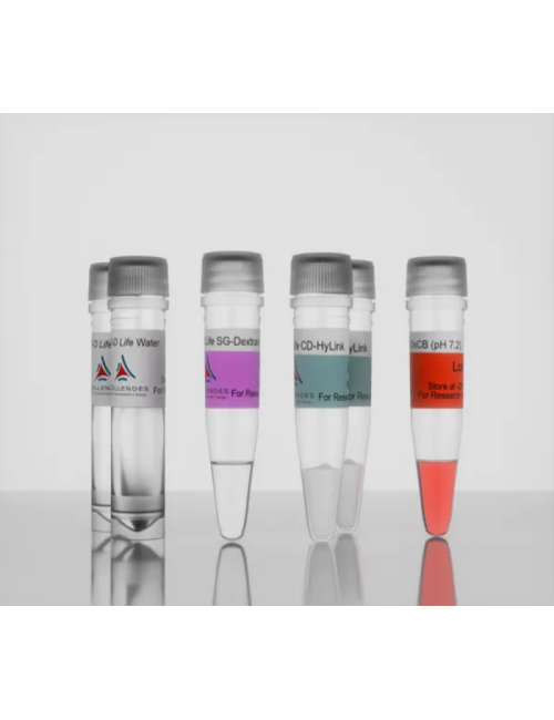 3-D Life Dextran-CD-HA Hydrogel
