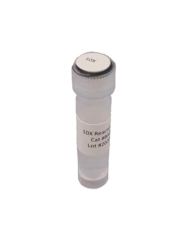 10X Reaction Buffer 2 - 1 mL