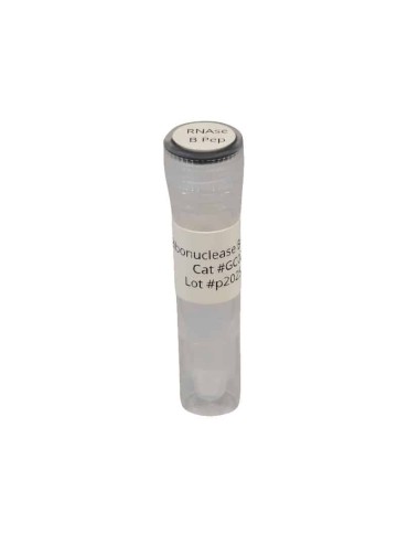 RNase B Peptides - 50 ug