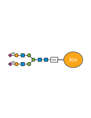 G2S2(α2,6)N-BSA - 50 µg