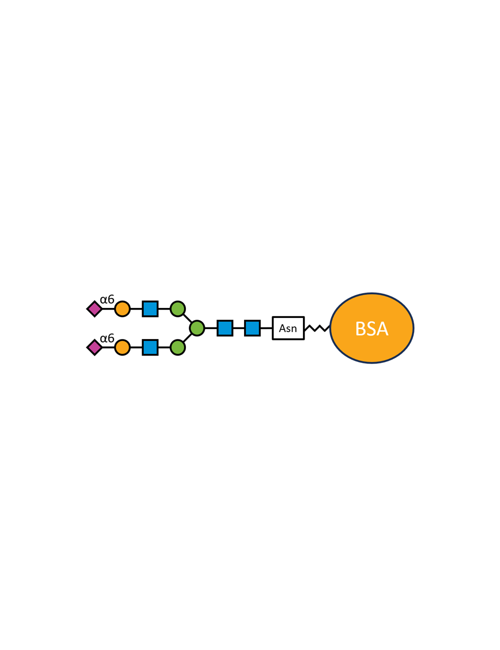 G2S2(α2,6)N-BSA - 50 µg