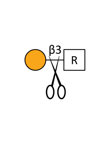 β1,3 Galactosidase - 2000 units