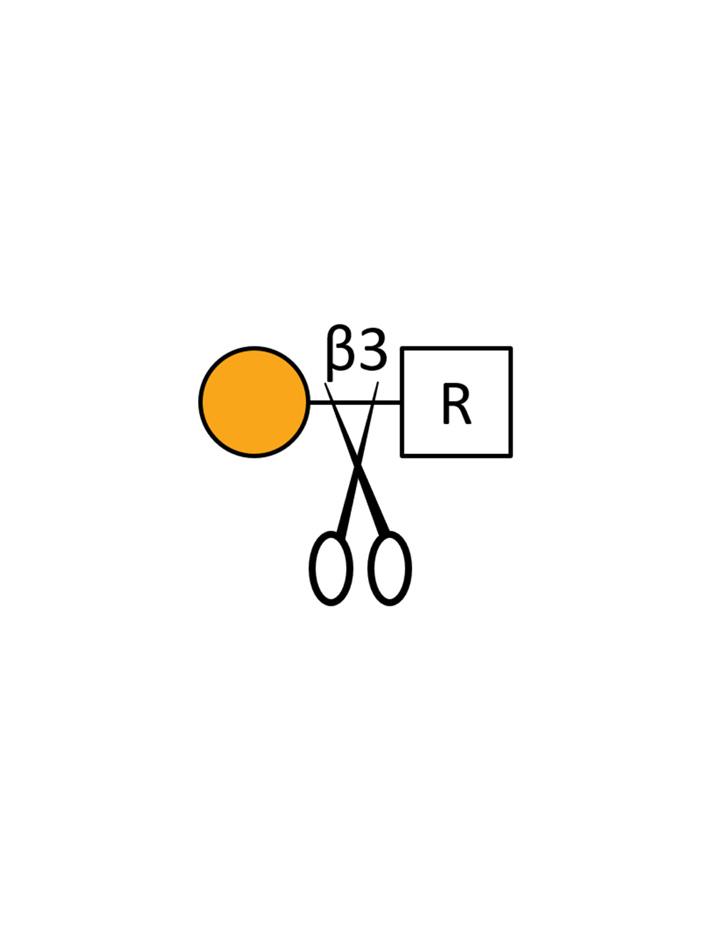 β1,3 Galactosidase - 2000 units