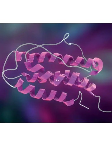 Recombinant human IL-5 (10ug)
