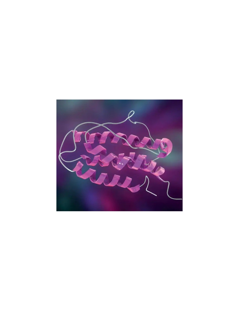 Recombinant human TGF-β1 (5 x 10 µg)
