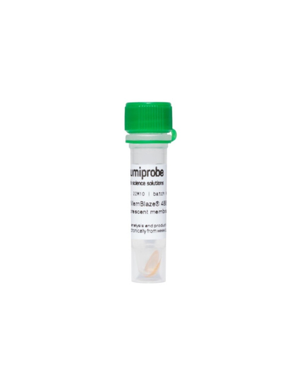 MemBlaze® 488, green fluorescent membrane probe , 10 nmol
